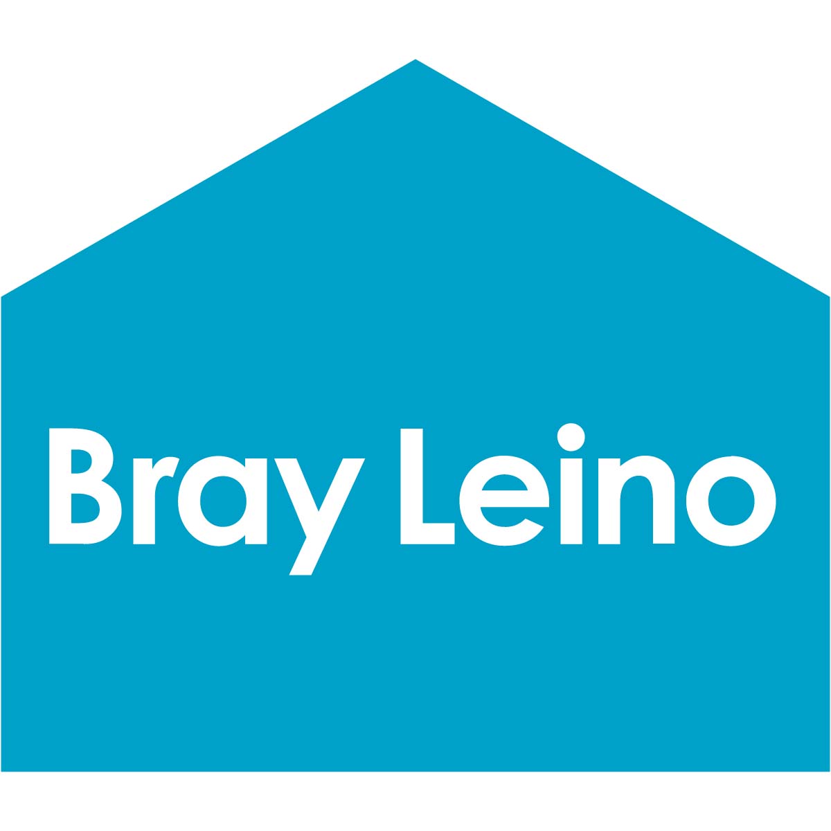 Bray Leino logo